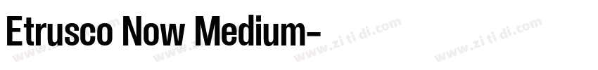 Etrusco Now Medium字体转换
